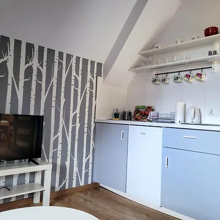 Mnich Apartment
